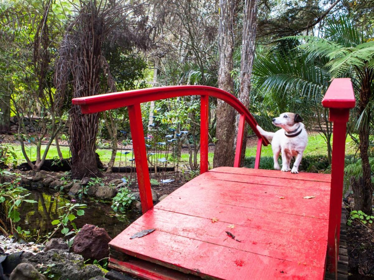 Waimoana Garden Accommodation Whangarei Buitenkant foto